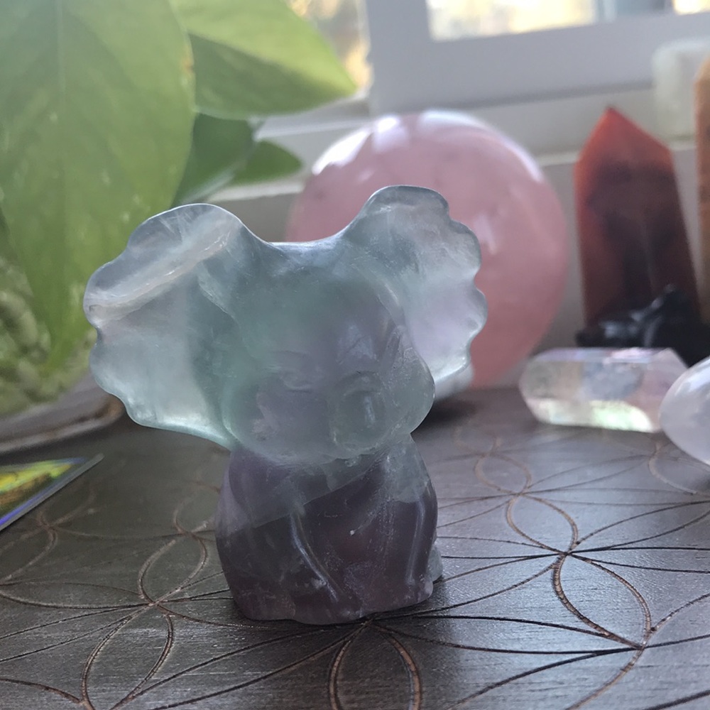 Natural fluorite Crystal koala